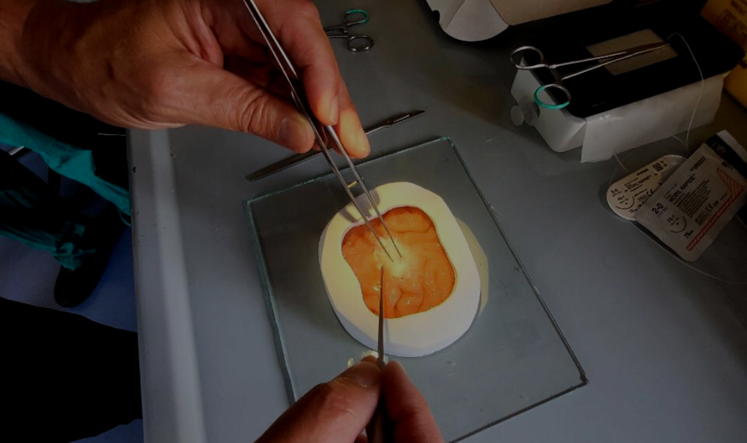 Neurochirurgia_Besta